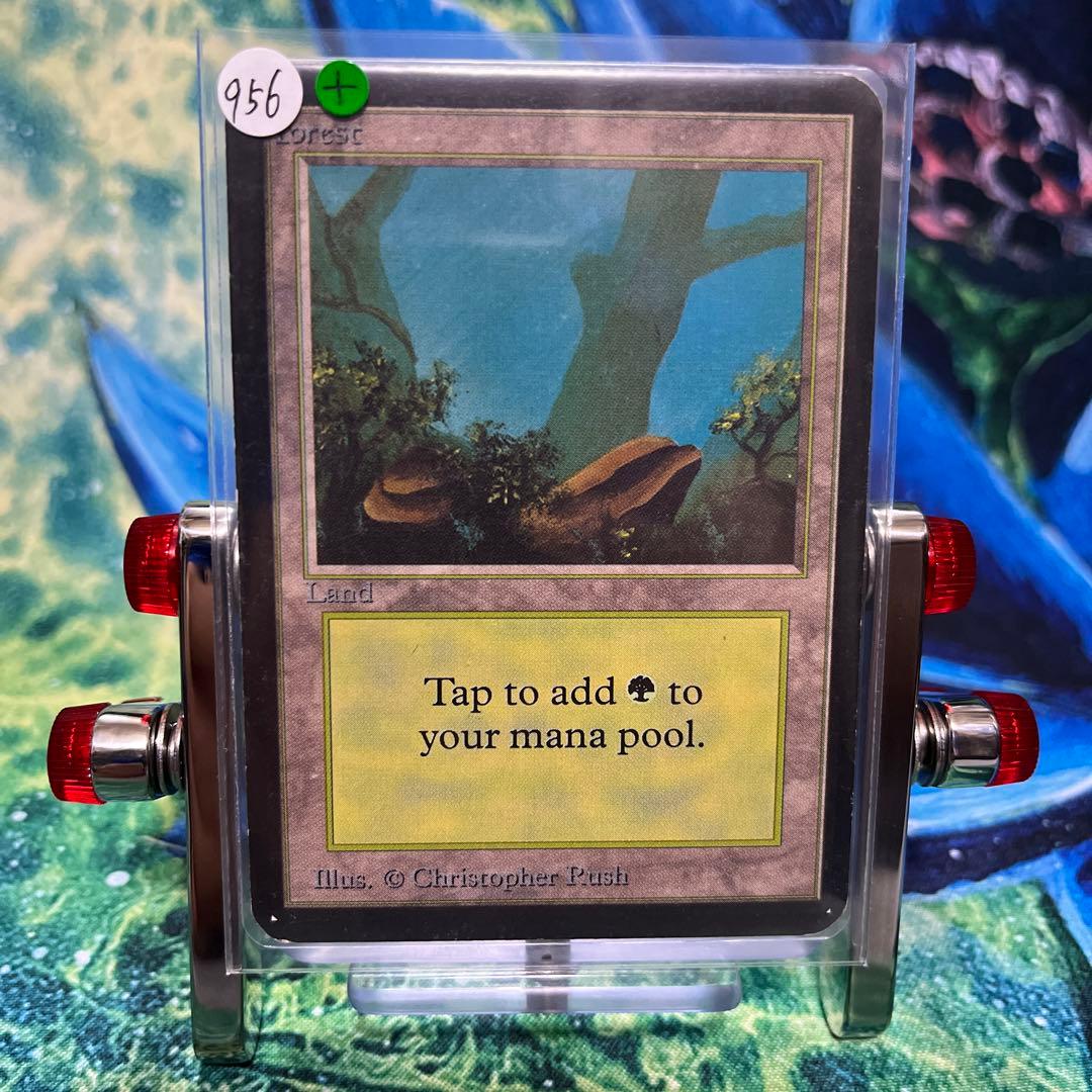 956 《森/Forest》MTG アルファ α [LEA] 基本土地 - メルカリ