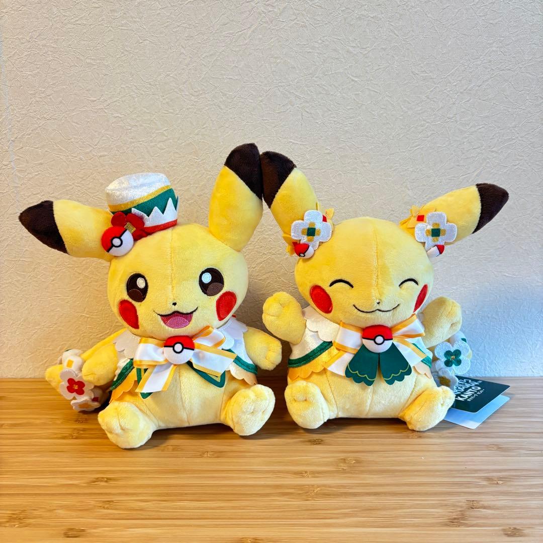 ポケパーク限定 ピカチュウ ぬいぐるみ 2体セット カーニバル - メルカリ