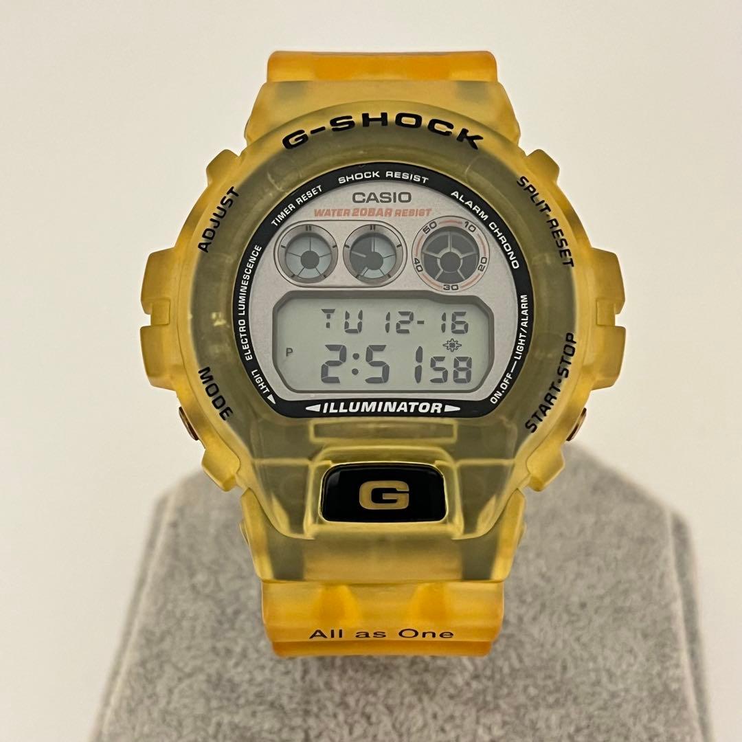 G-SHOCK　DW-6900K　動作品　CASIO 　イルクジ　メンズ腕時計 カシオ G-ショック DW-6900K-8AT スケルトン イルカクジラモデル