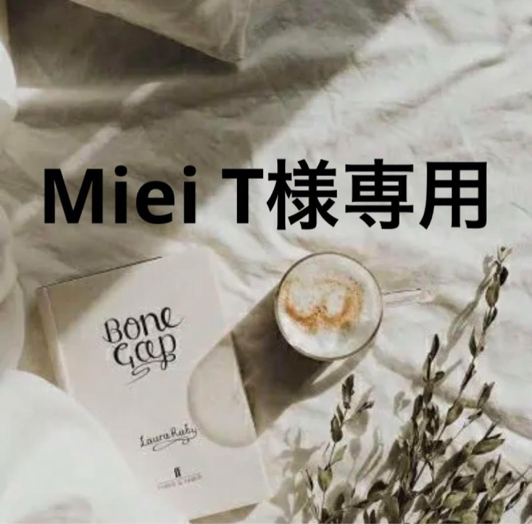 Miei T　0825 Mizuno GXF 91 1st Baseman's Mitt Glove Leather Inlet Toe Franchise