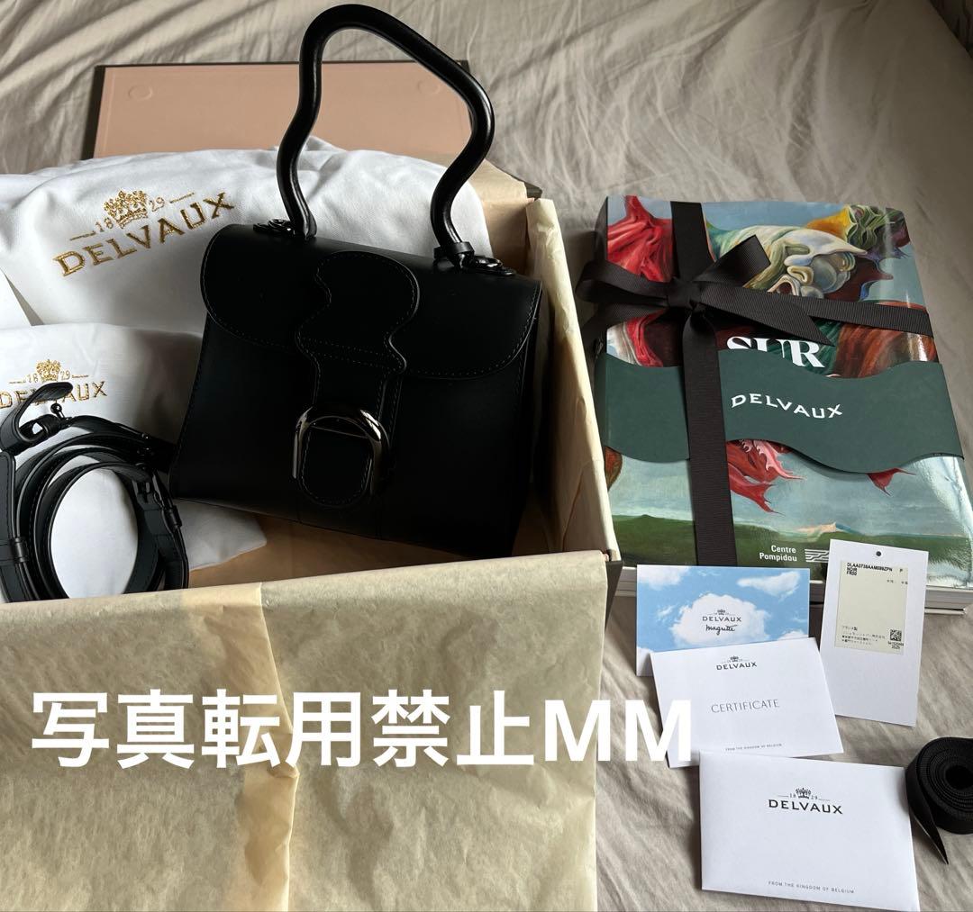 mimi様専用！デルヴォー ブリヨンミニ ウェイビー ブラック 美品