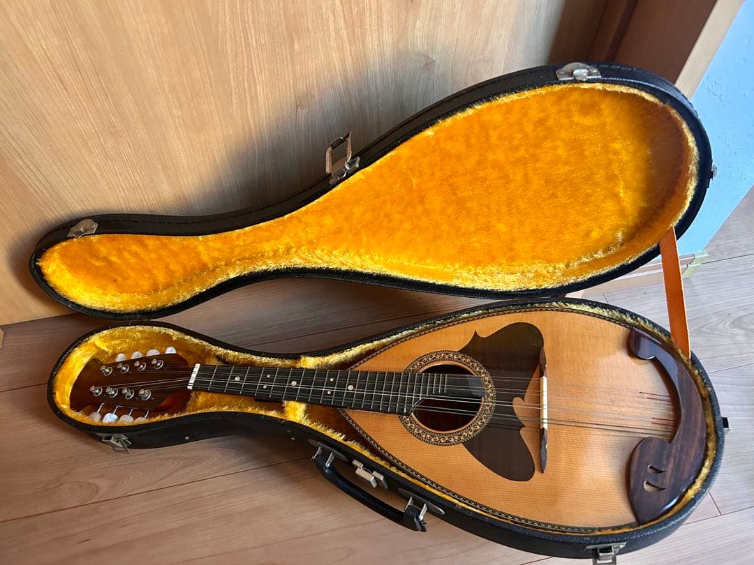 スズキ 木製マンドリン 8弦 本体 SUZUKI VIOLIN 楽器 M-218 - メルカリ