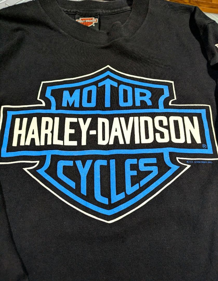 ハーレーダビッドソン ブルーフレイム ロンT 長袖 Tシャツ ビンテージ