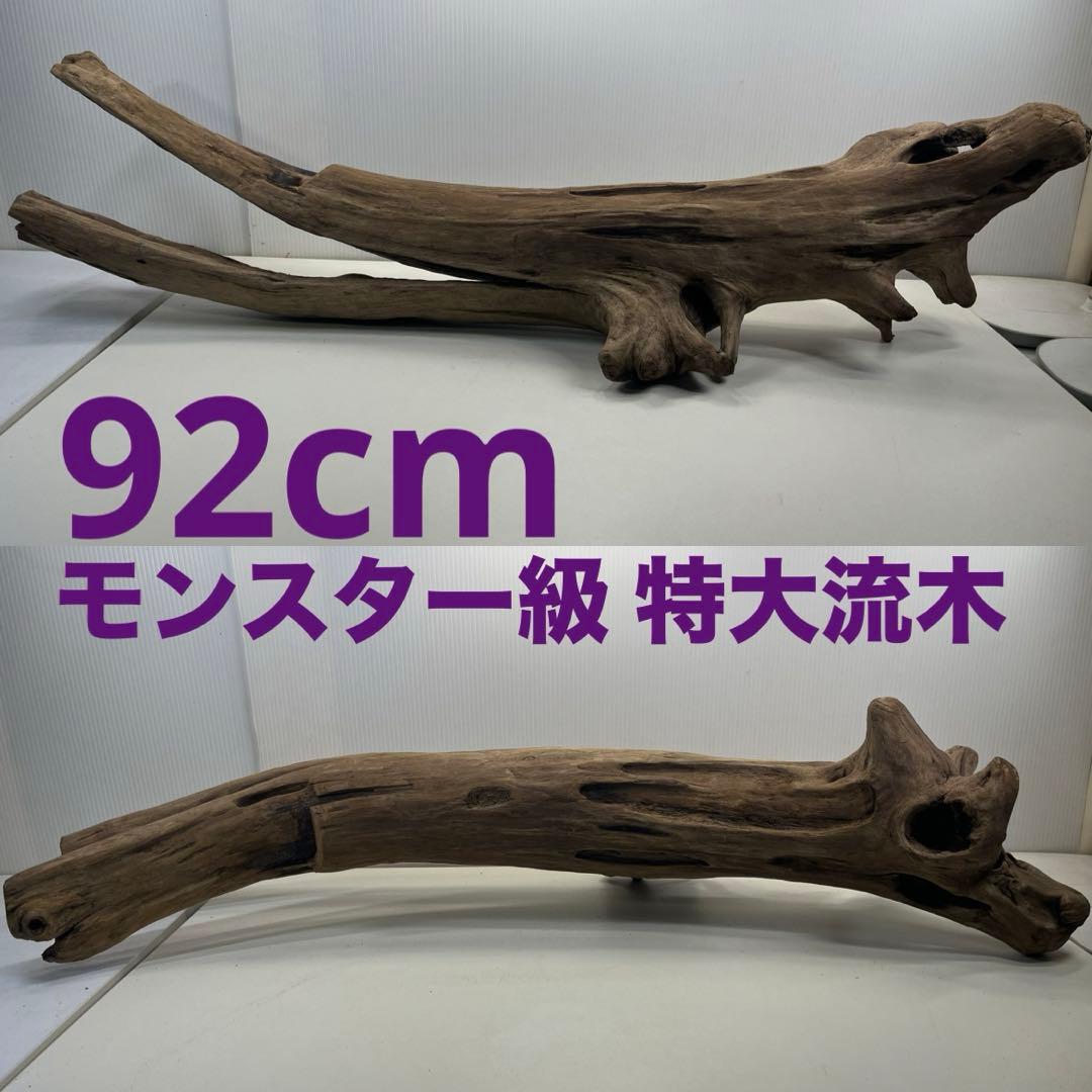 W27特大流木 アク抜き済み流木 爬虫類シェルター 登り木 インテリア