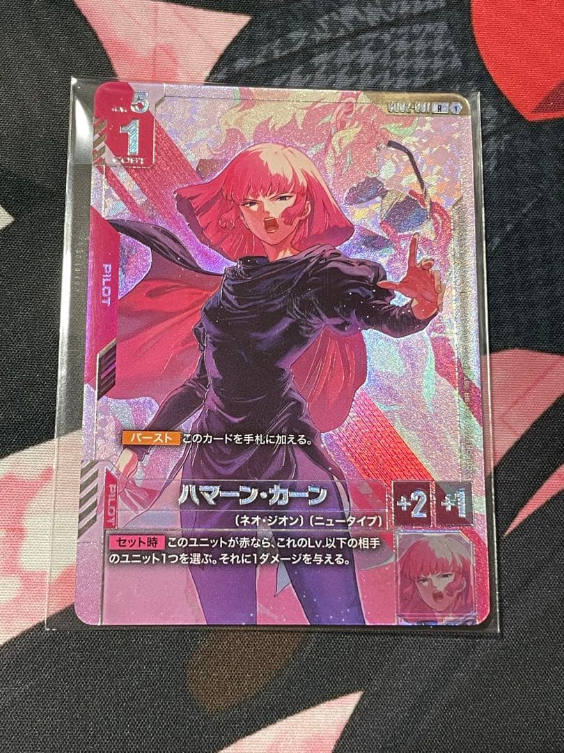 ハマーン・カーン　プロモ　ニュータイプチャレンジ ハマーン・カーン ニュータイプチャレンジ プロモ ニュータイプ