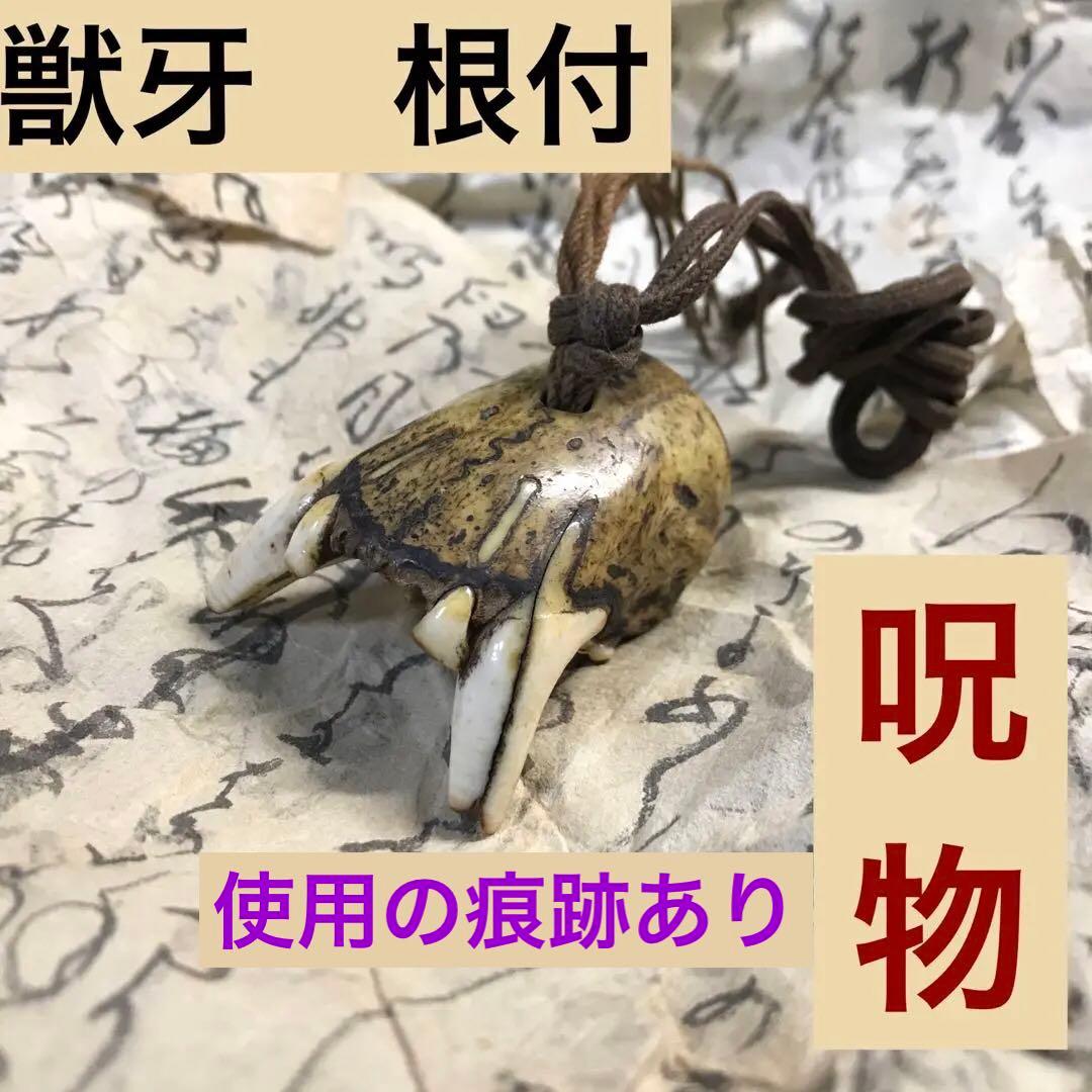 獣牙 根付 呪物 ニホンオオカミ 熊
