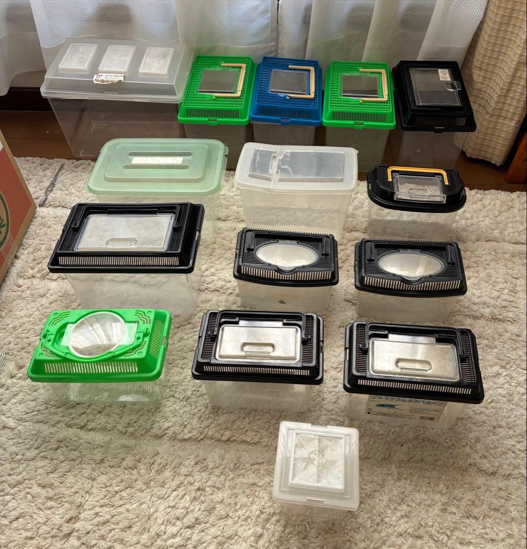 昆虫飼育ケース 複数セット(計15個) - メルカリ