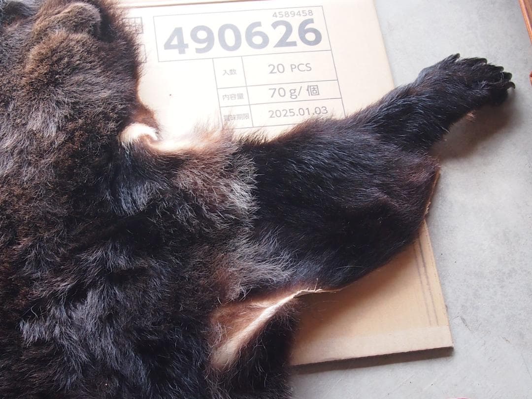 損傷あり】ツキノワグマ 毛皮 クマ/熊 ラグマット/玄関マット