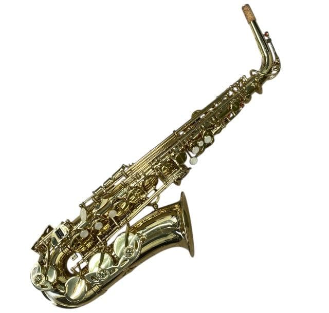 MAVIS サックス JYAS-E100 アルトサックス ゴールド メイビス 2026年最新】mavisサックスの人気アイテム - メルカリ
