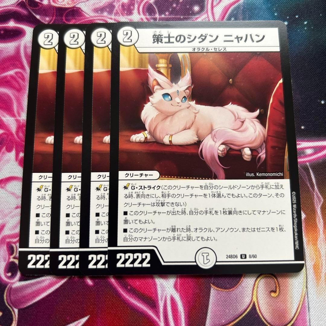 策士のシダン ニャハン シダンニャハン 4枚 - メルカリ