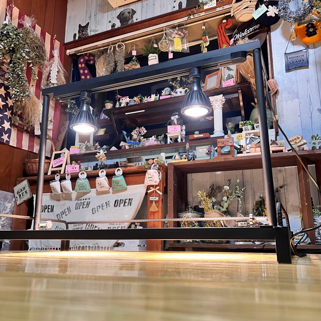 植物棚、高さ調整可能ダクトレール付！アイアンラック　アガベ　アイアンシェルフ 楽天市場】アイアンシェルフ オープンラック ラック アイアン