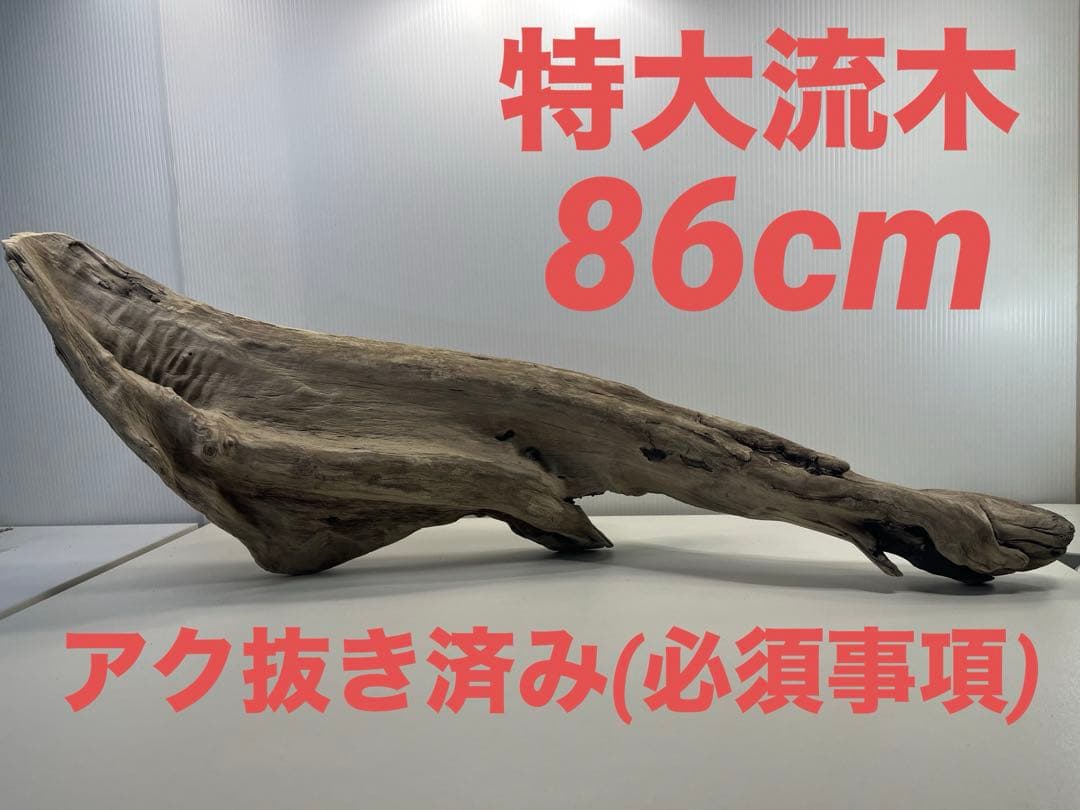 V84特大流木 アク抜き済み流木 爬虫類シェルター 登り木 インテリア 生け花 W27特大流木 アク抜き済み流木 爬虫類シェルター 登り木 インテリア