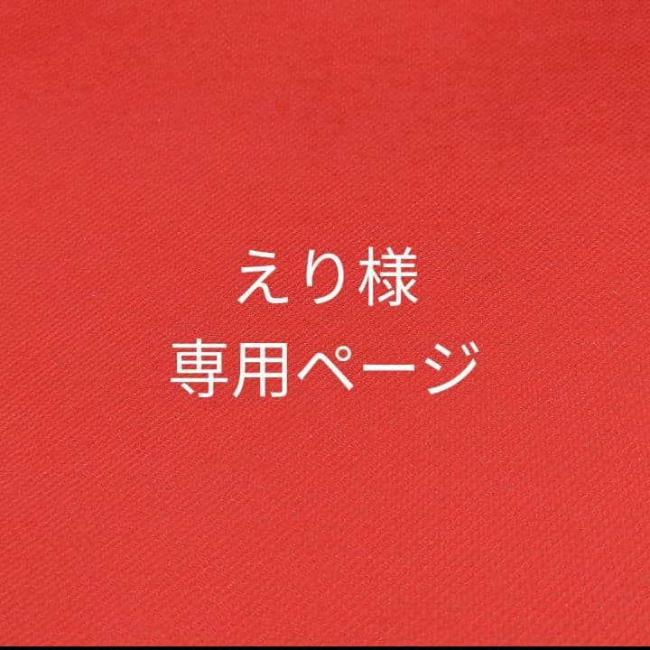えりページ！ トリックスター / Ninja ZX-4R SE /ZX-4RR(24-26) 政府認証フル