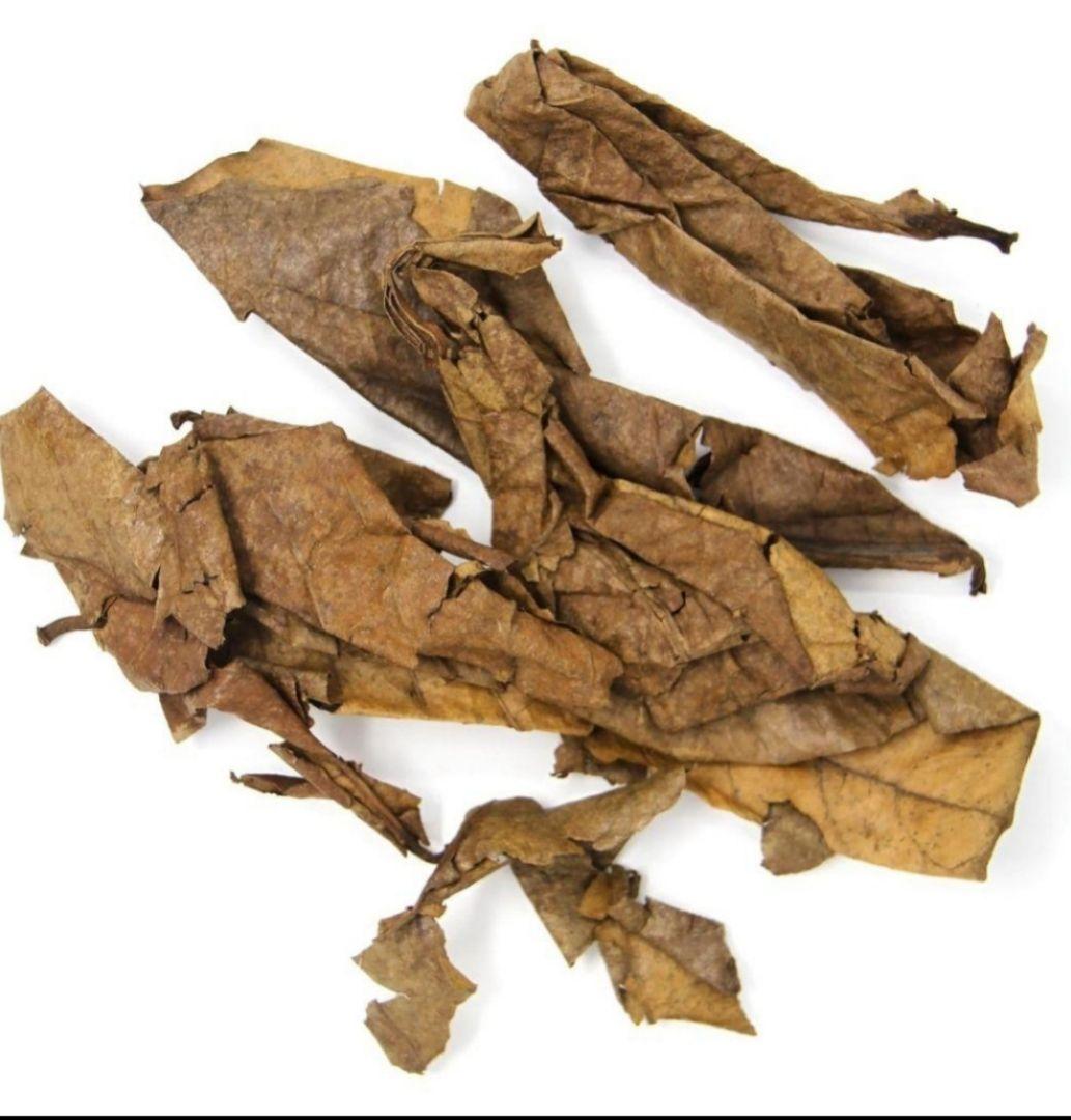 大小様々 無農薬マジックリーフ 天然ももたまな葉 15 枚 - メルカリ