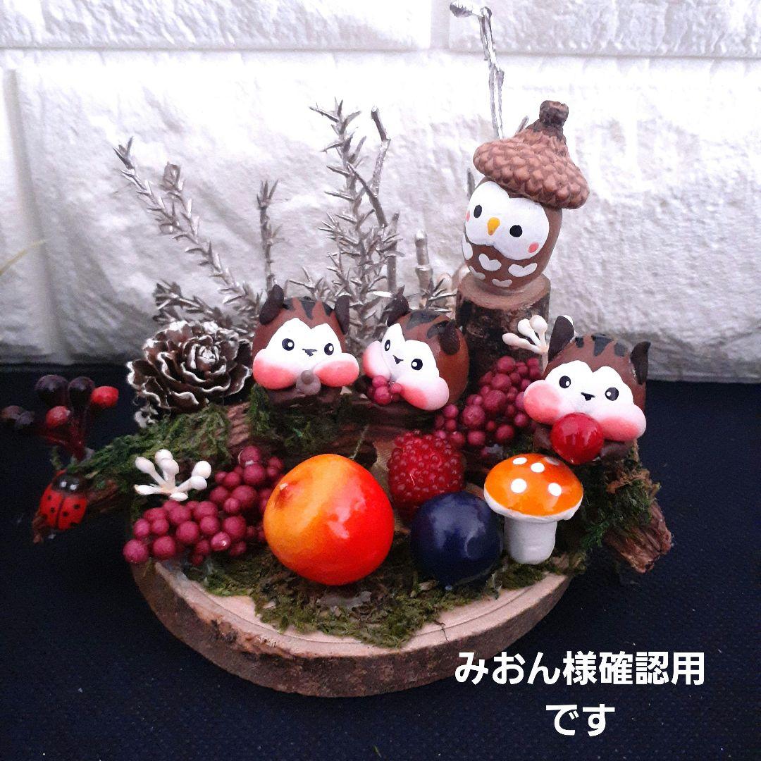 どんぐりアート ~**みおん様確認用です**~ - メルカリ