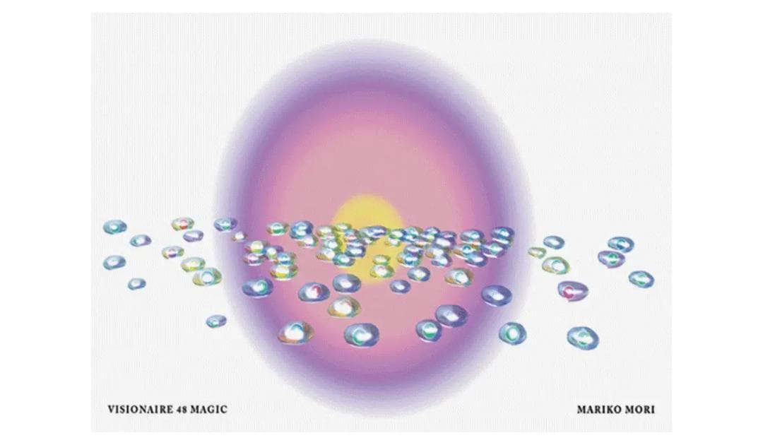 VISIONAIRE 第48号MAGIC Van Cleef & Arpels - メルカリ