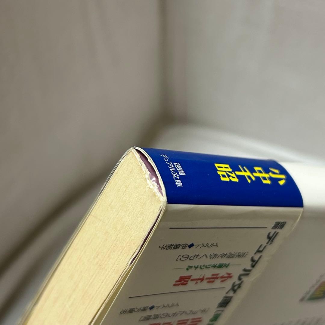 初版・帯付】深淵を歩くもの 小中千昭／徳間デュアル文庫／伊藤郁子