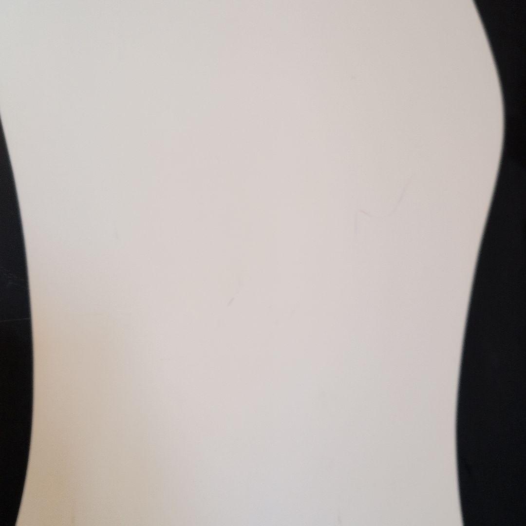 【只今今月末まで１万円値下げ中】プレセボ　オルカ　placebo ORCA