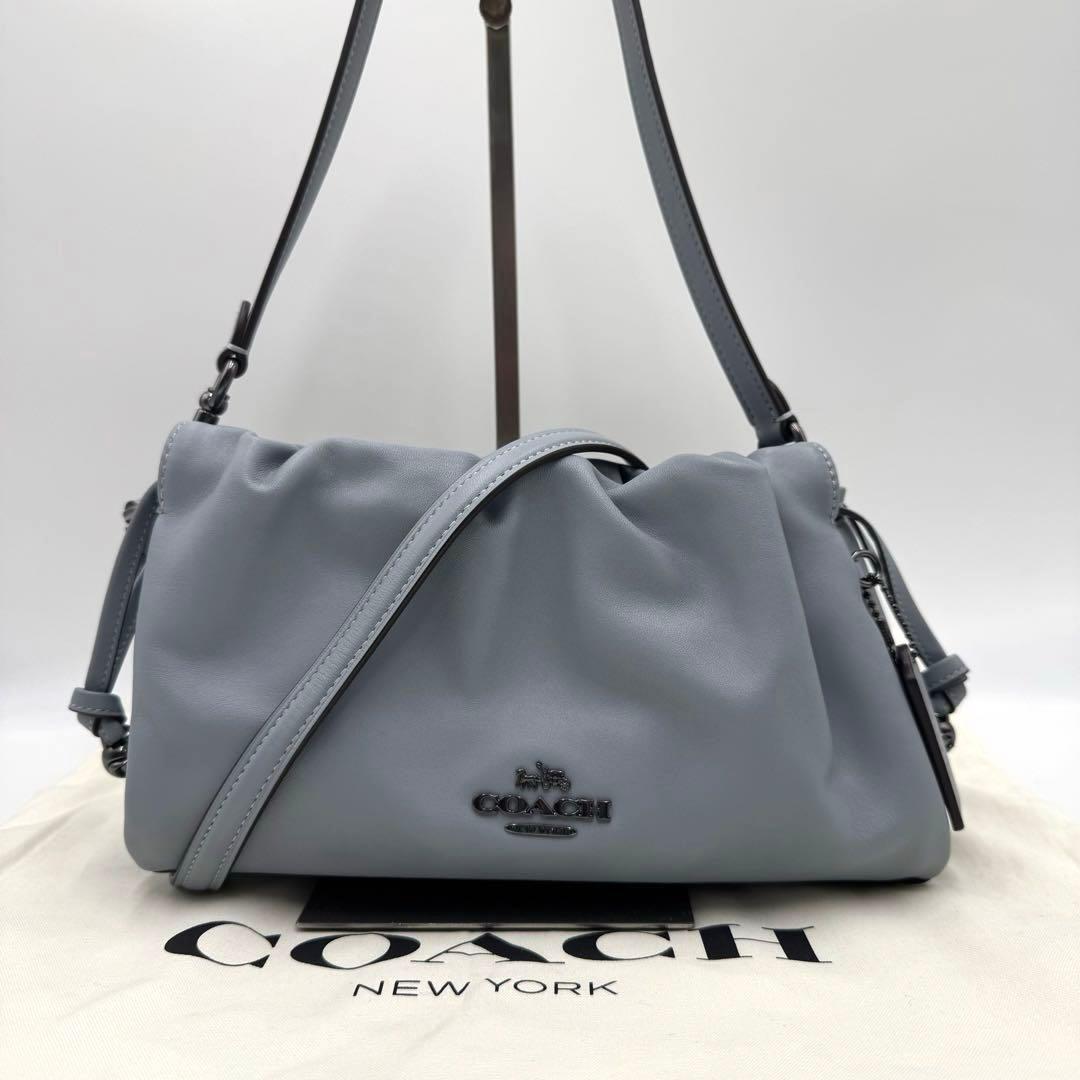 未使用級✨ コーチ フェイ ドローストリングバッグ 2way レザー