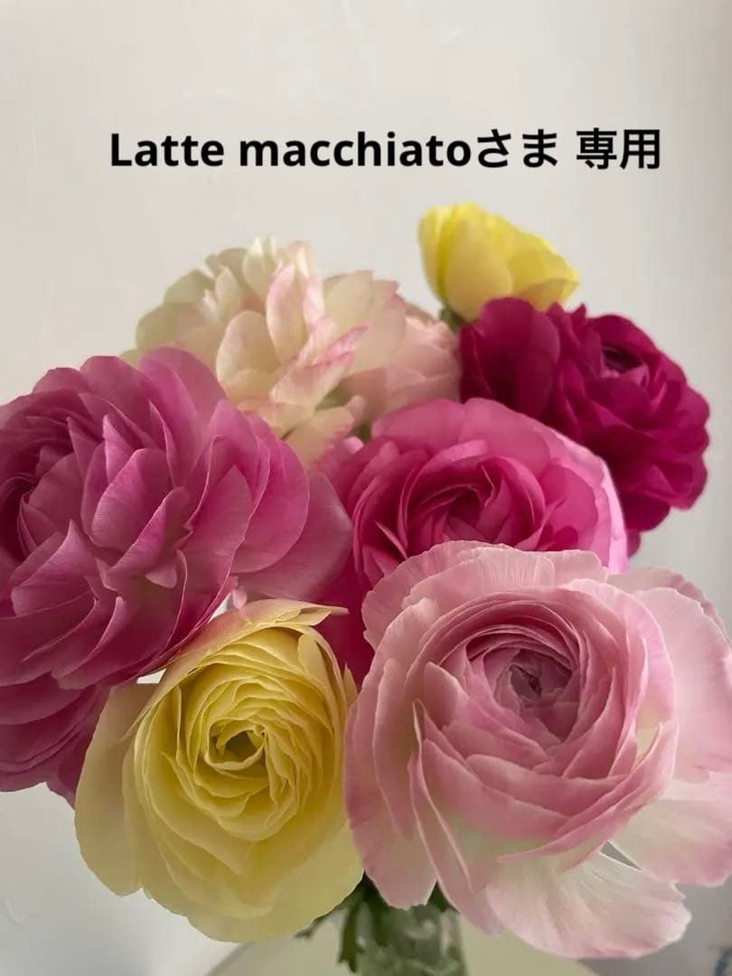 Latte macchiatoさま 専用 サルート 01G 17G ガーター 楽天市場】サルート 01gの通販