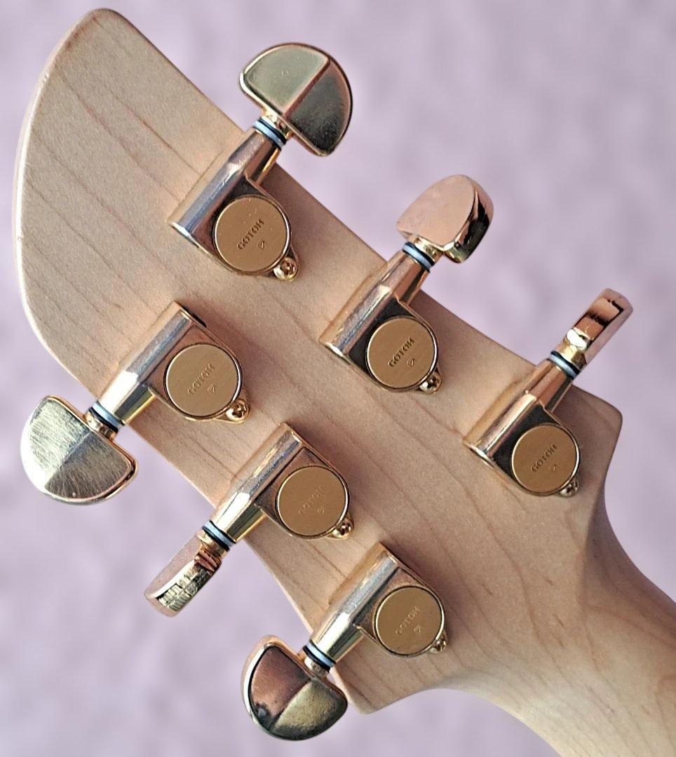 □FERNANDES APG 85S 美品 SUSTAINER サスティナー - メルカリ