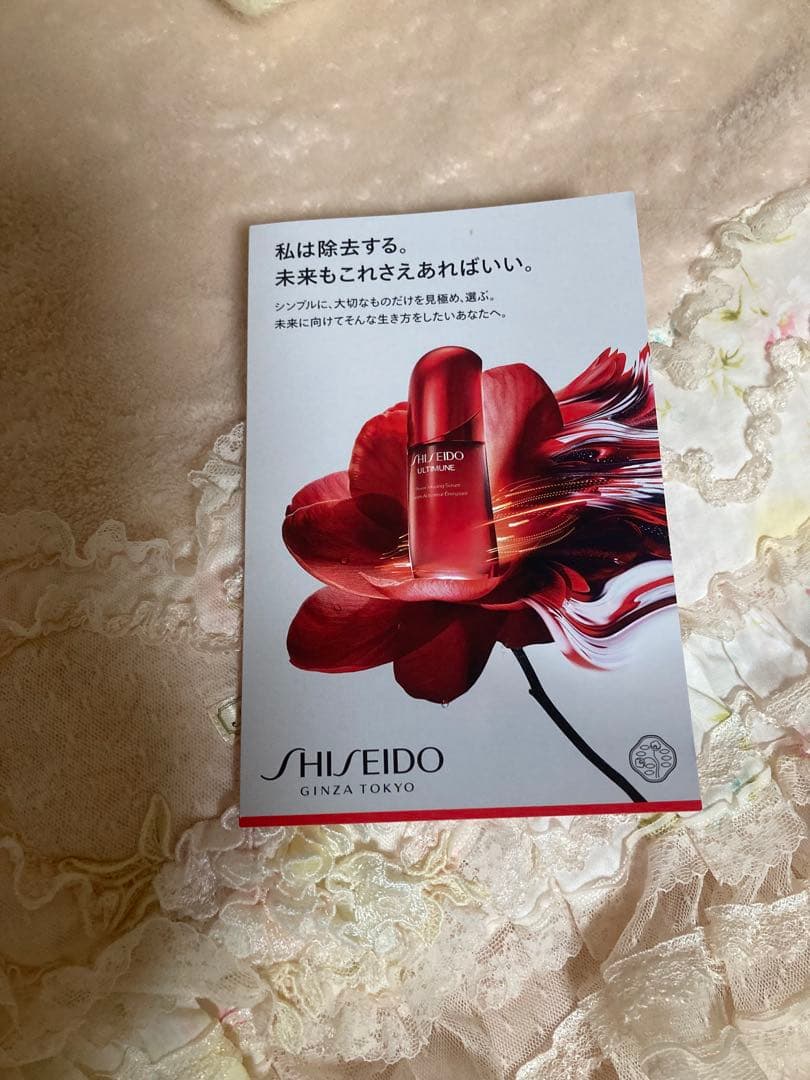 サエラナパーアルパカアイボリー マフラー差し込み式