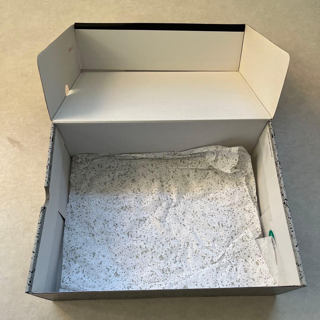 Air Jordan 6 \"Carmine\" (2021) カーマイン