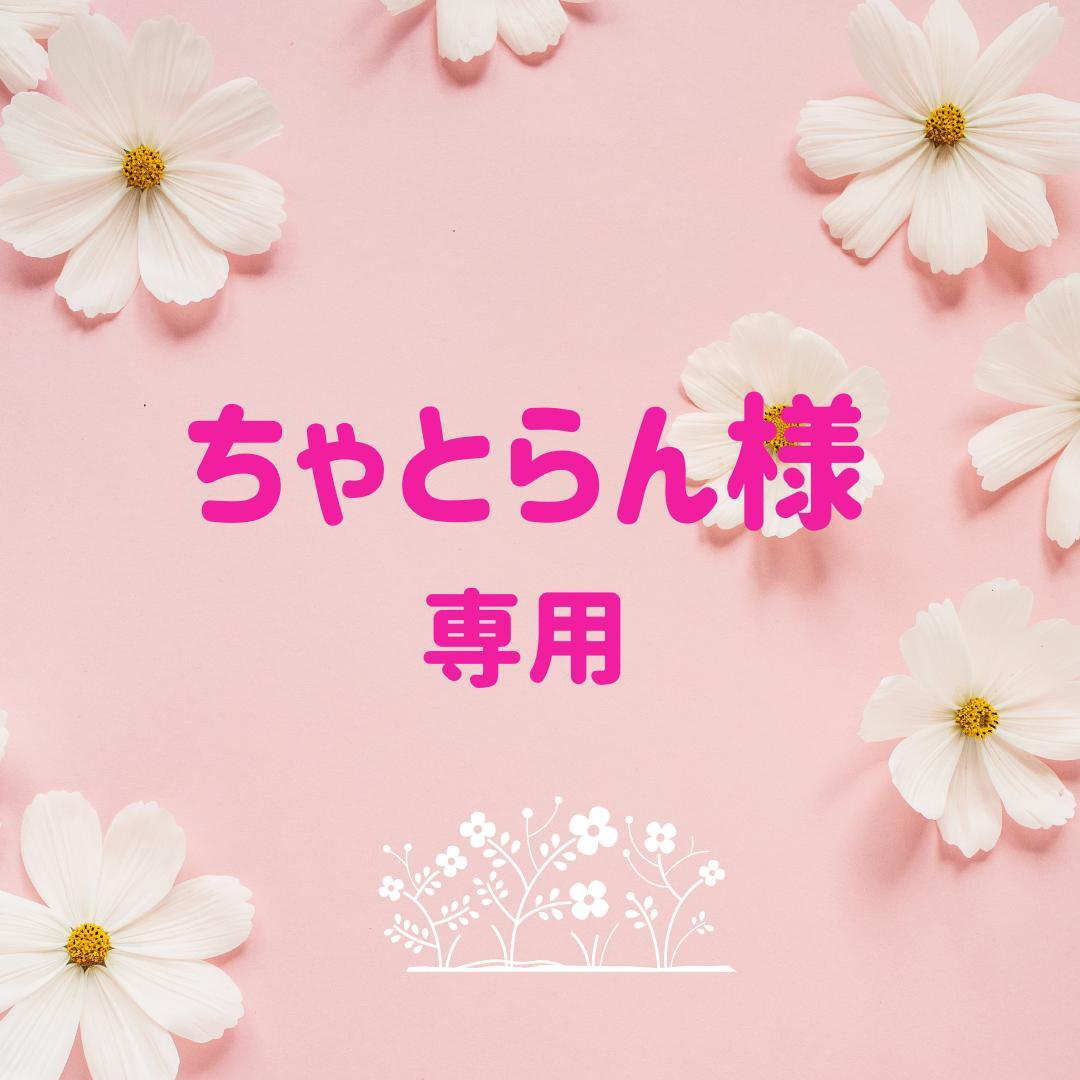 ちゃとらん様専用 止まり木 カクタス スケルトン パーチ - メルカリ