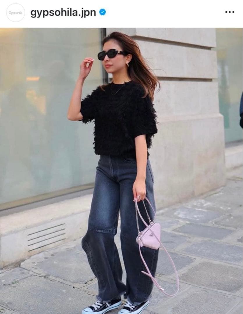 Gypsophila ジプソフィア 黒 フェザーT - メルカリ