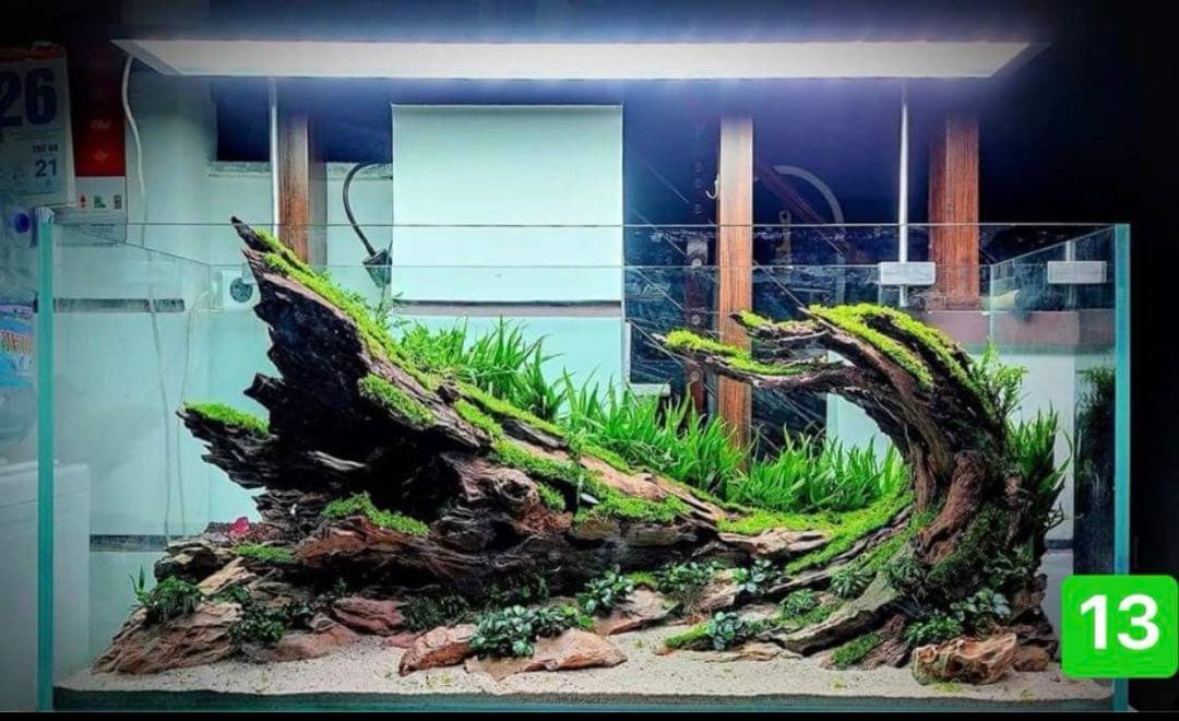 TTD 1390【⭐︎ Genta Fukuda様⭐︎】【美品・数量限定】 Amazon.co.jp: 初音ミク -Project DIVA- X FIGURIZMα 初音ミクーDE