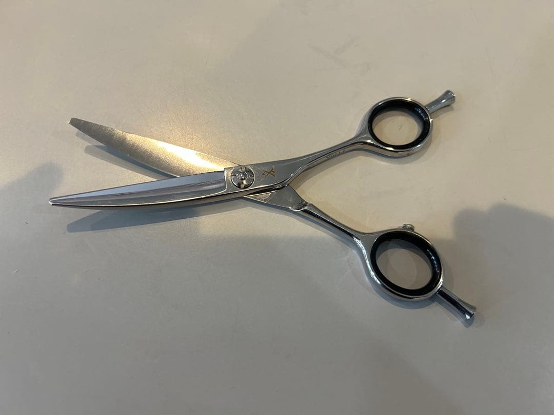 サイキシザー マックスカーブ5.5 笹刃 - メルカリ