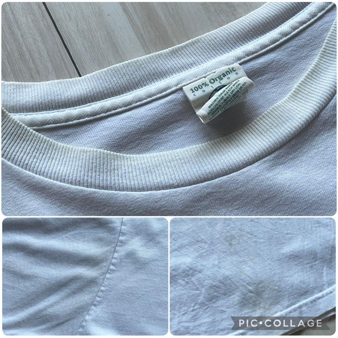 レアな北斎プリント！90s パタゴニア Beneficial T's Lサイズ - メルカリ