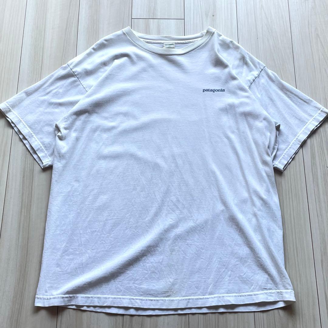 レアな北斎プリント！90s パタゴニア Beneficial T's Lサイズ - メルカリ