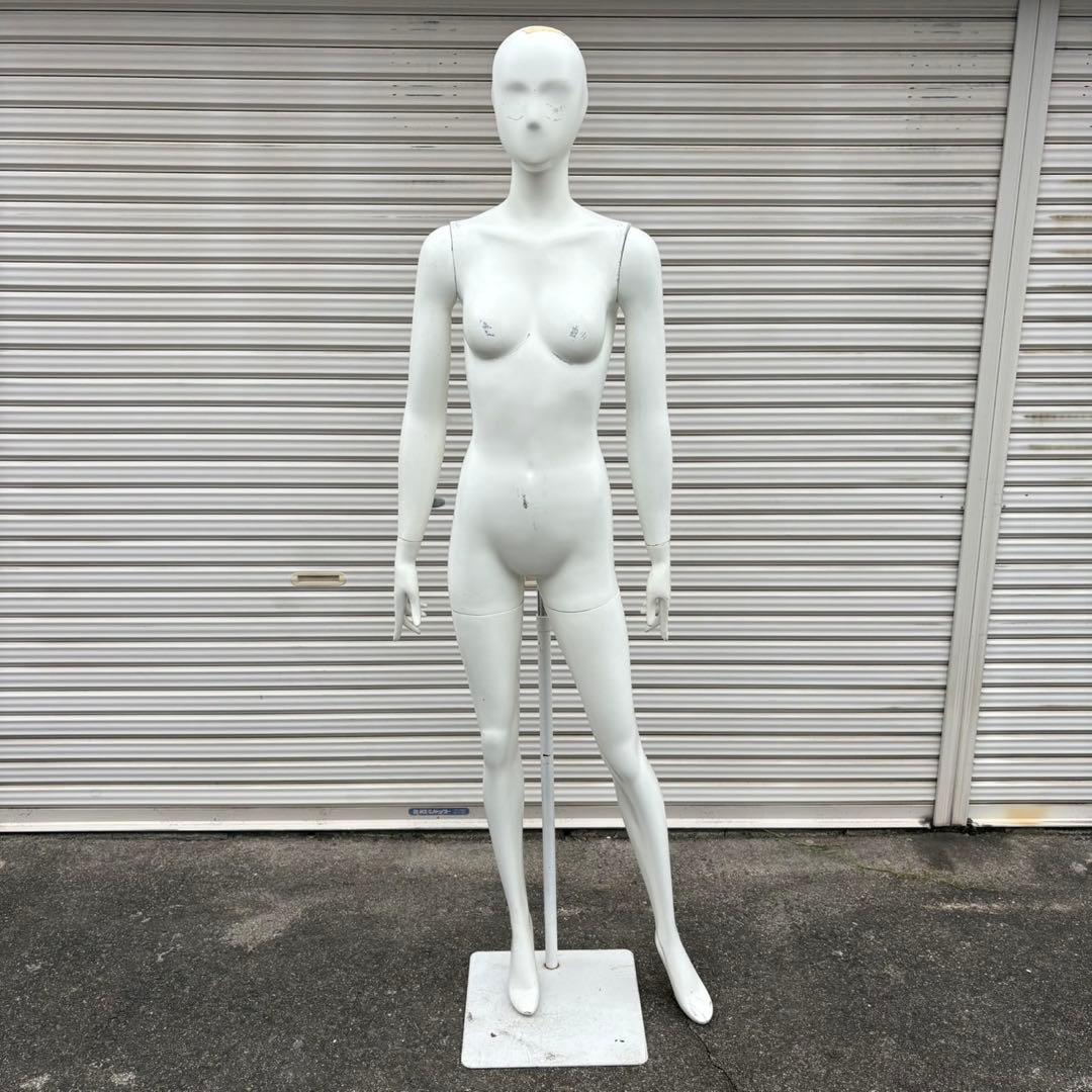 パールイデア パール マネキン 全身 トルソー レディース - メルカリ