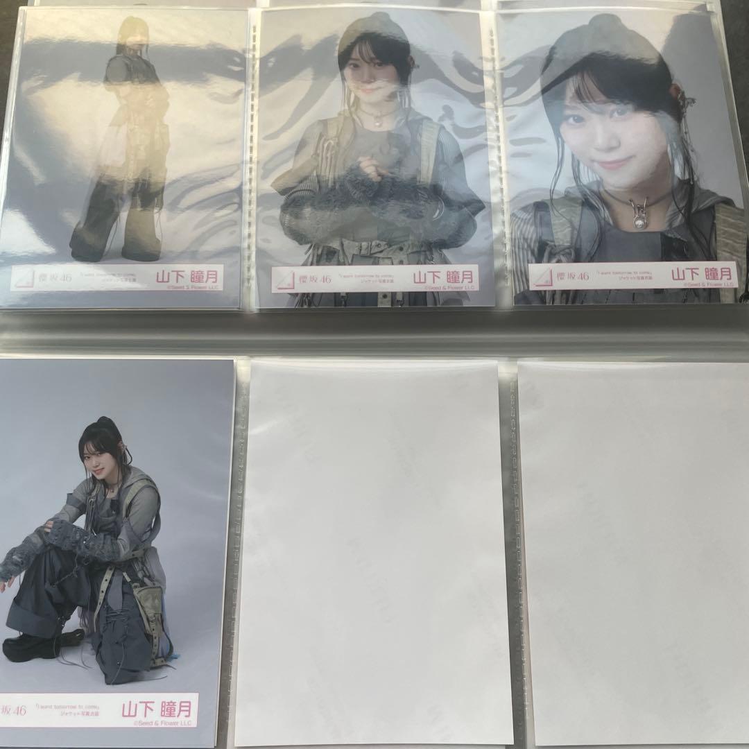 不死鳥様 リクエスト 2点 まとめ商品 - メルカリ