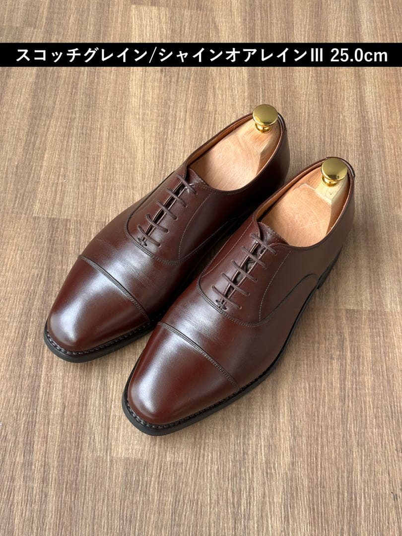最終値下げ】スコッチグレイン/シャインオアレインⅢ ブラウン 25.0cm