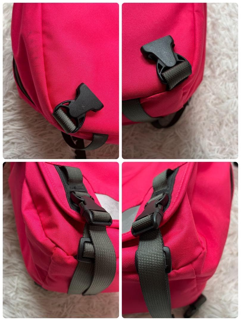 希少色✨パタゴニア ショルダーバッグ メッセンジャー リフレクター