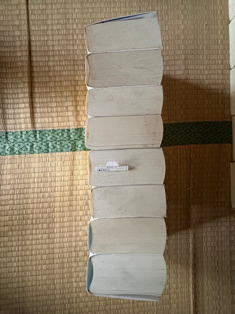 【調整可能】境界線上のホライゾン本編全巻+その他川上稔作品複数