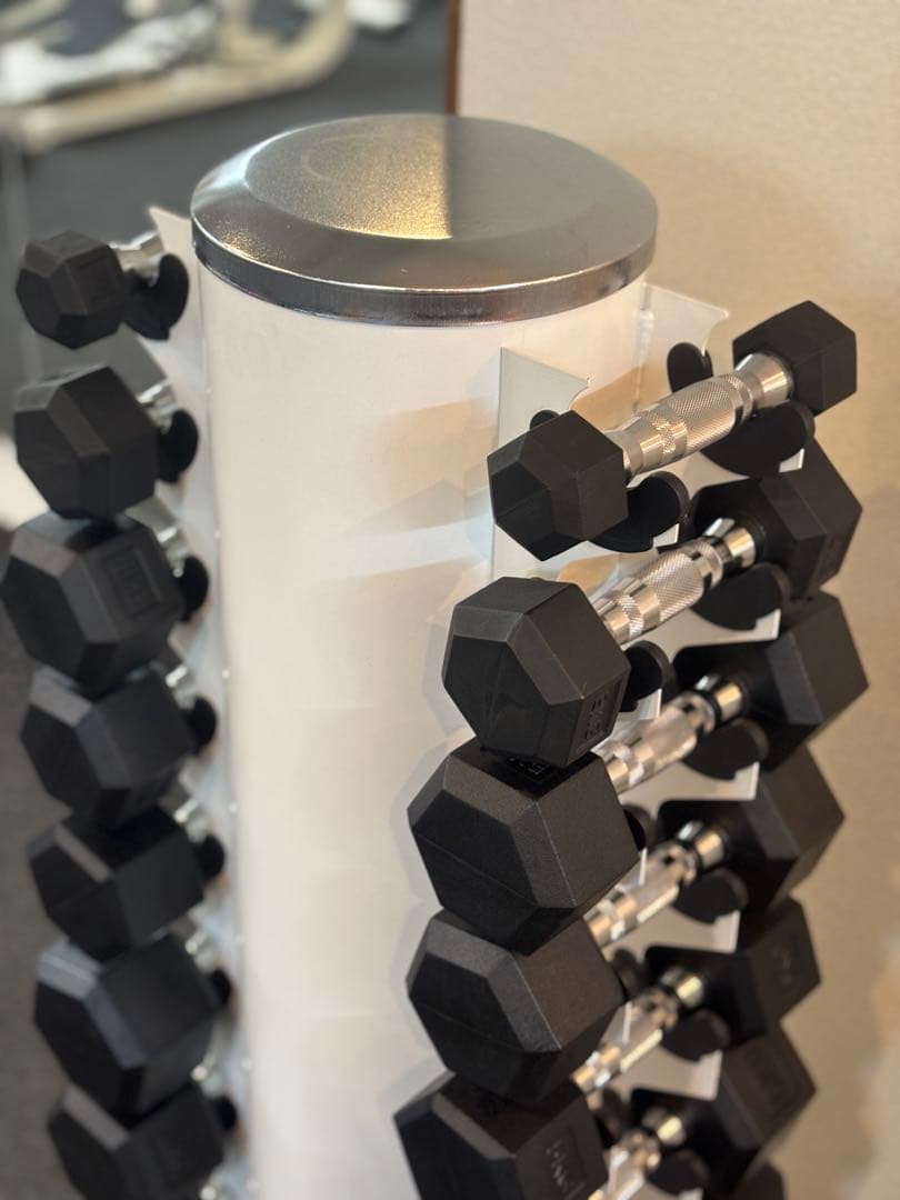 専用！ダンベルタワー ダンベル1〜10㎏セット