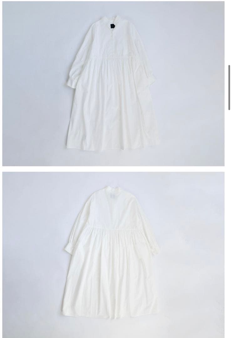 新品タグ付き オオカミとフクロウ フクロウと佇む木々の木漏れ日