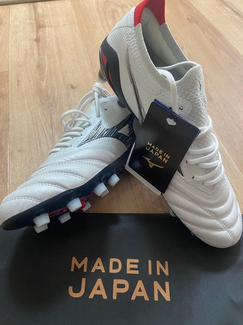 Mizunoモレリアネオ 24.5cm