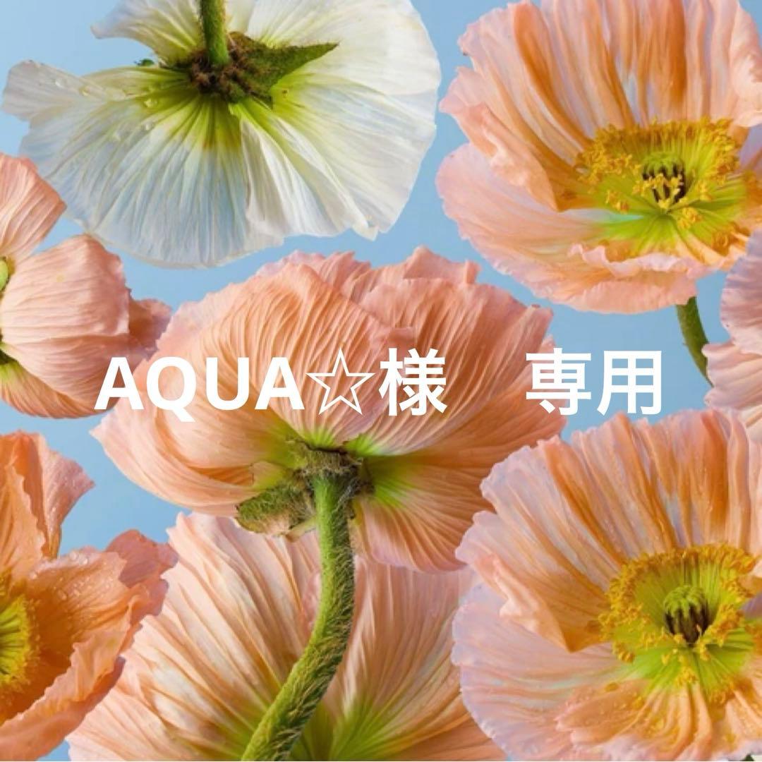 AQUA☆　インディゴブルー24 E2E3CCEE-63E7-484C-94F3-