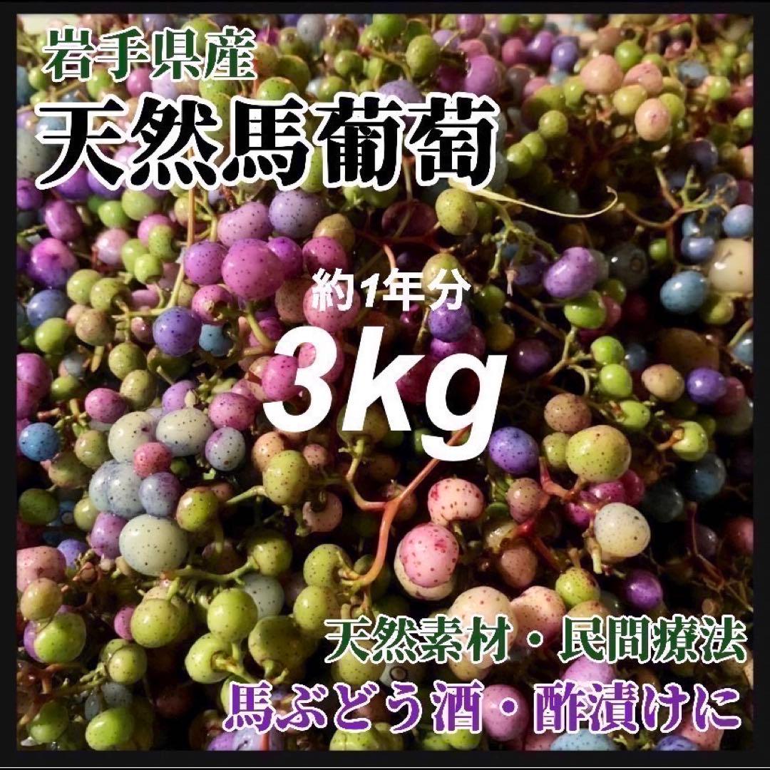 大容量】馬ぶどう250g×12袋 1年分3kg うまぶどう 薬膳 民間療法 - メルカリ
