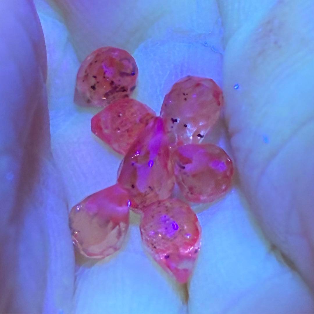 RiSaO＊様専用 14kgf アイリスアゲート ラウンドピアス