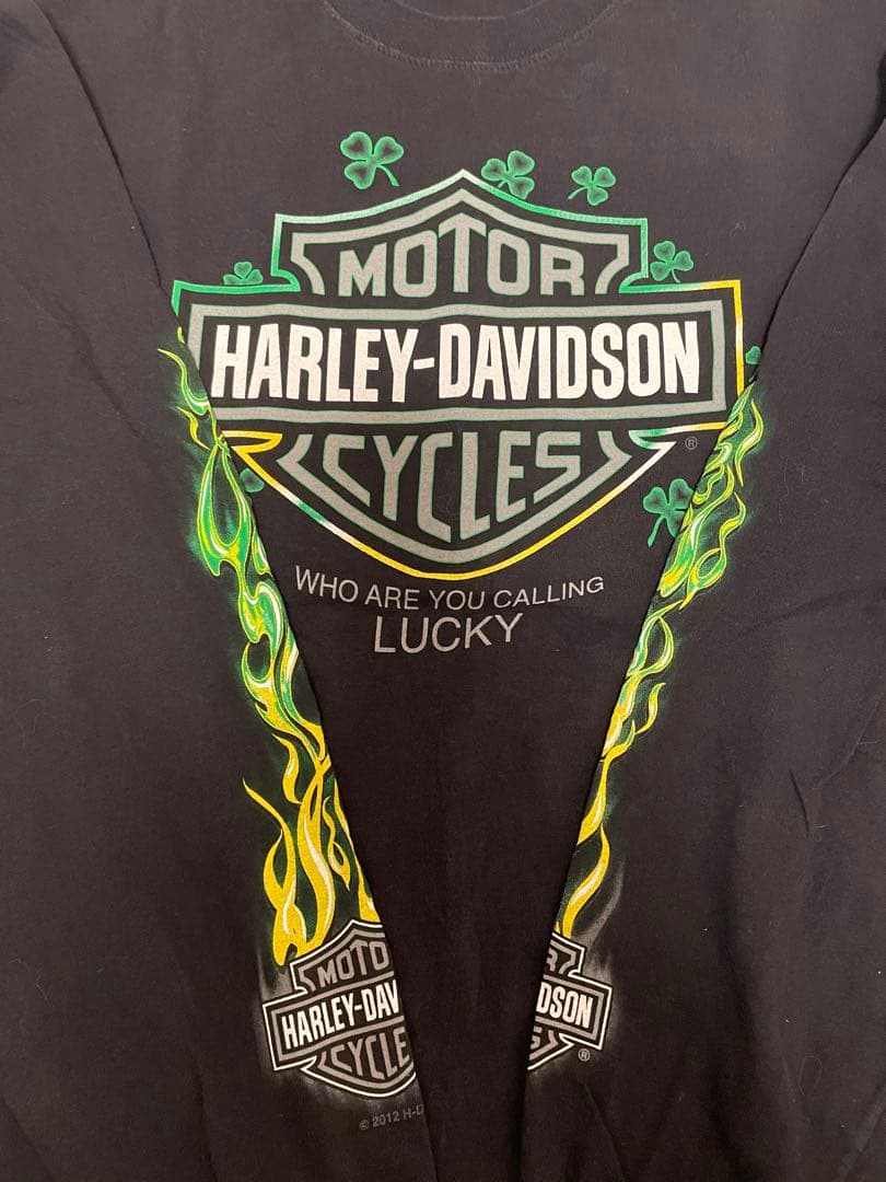 入手困難』ハーレーダビッドソン グリーンフレイム ヴィンテージロンT