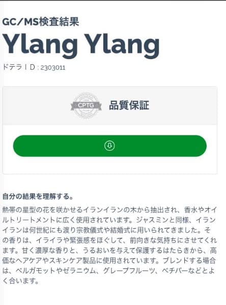 ５日（金）14:45迄 【ゆうちゃん】ドテラ YY Bm 15ml 計2点