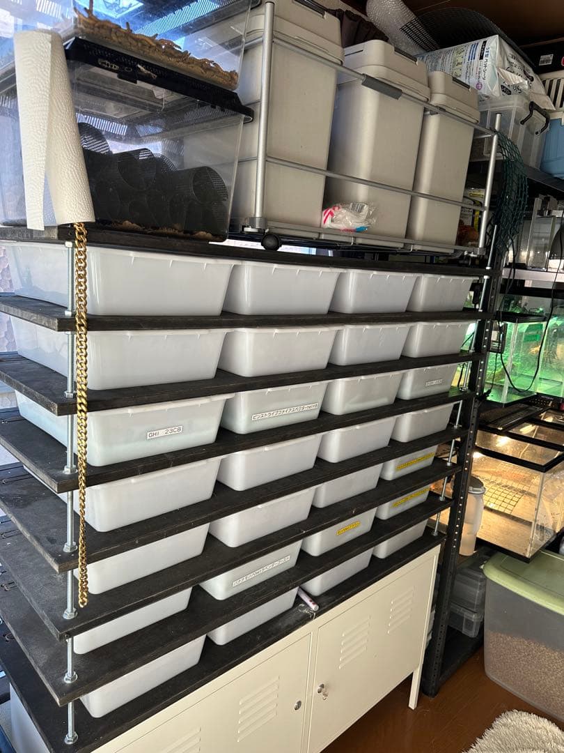 スネークラック ブリーダーラック 爬虫類ラック - メルカリ