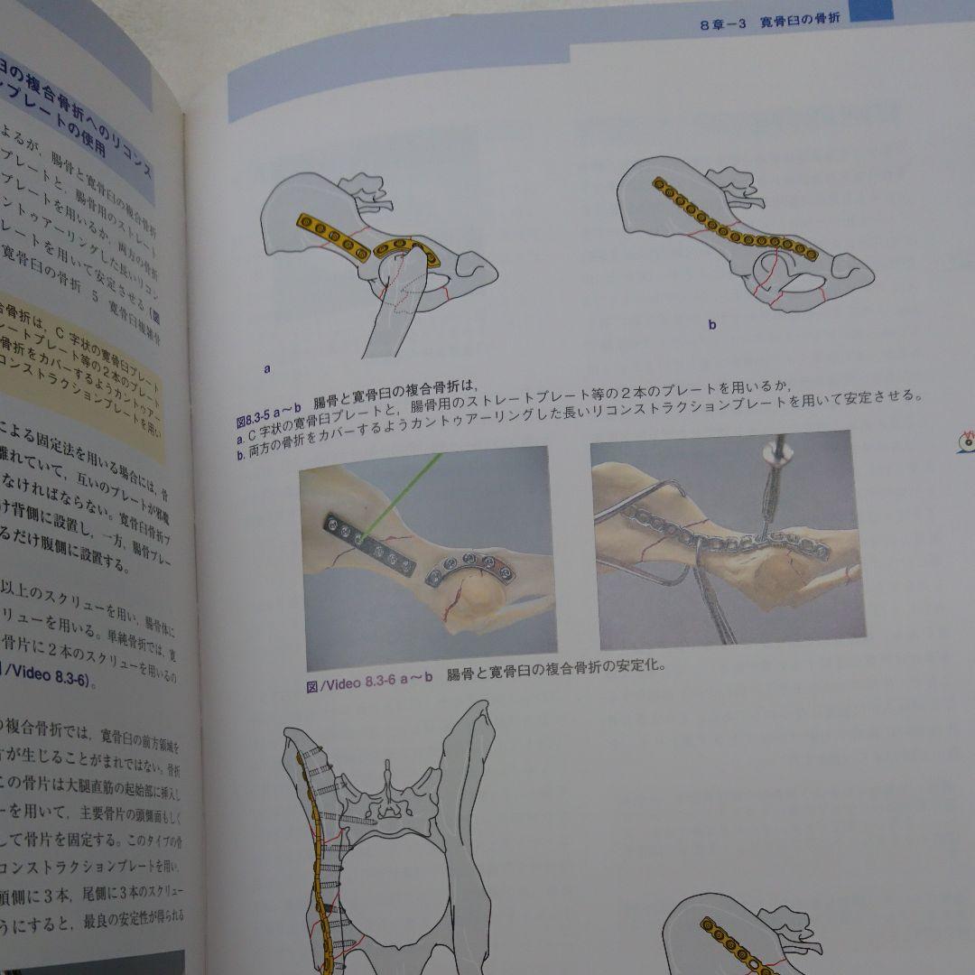 AO法による犬と猫の骨折治療 インターズー 獣医 整形外科 - メルカリ