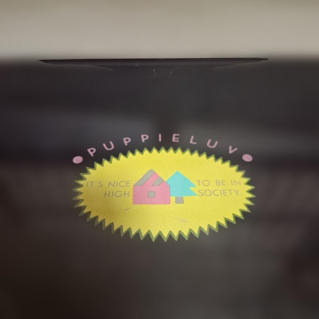 サンリオ PUPPIE LUVパピーラブ 昭和レトロ 小物入 ボックス 当時物