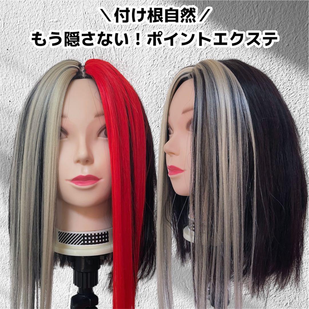 ポイントエクステ1本 ブロンドブラックメッシュ ヘアアレンジ 推し活